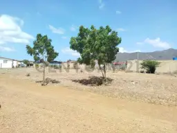 Vista 4