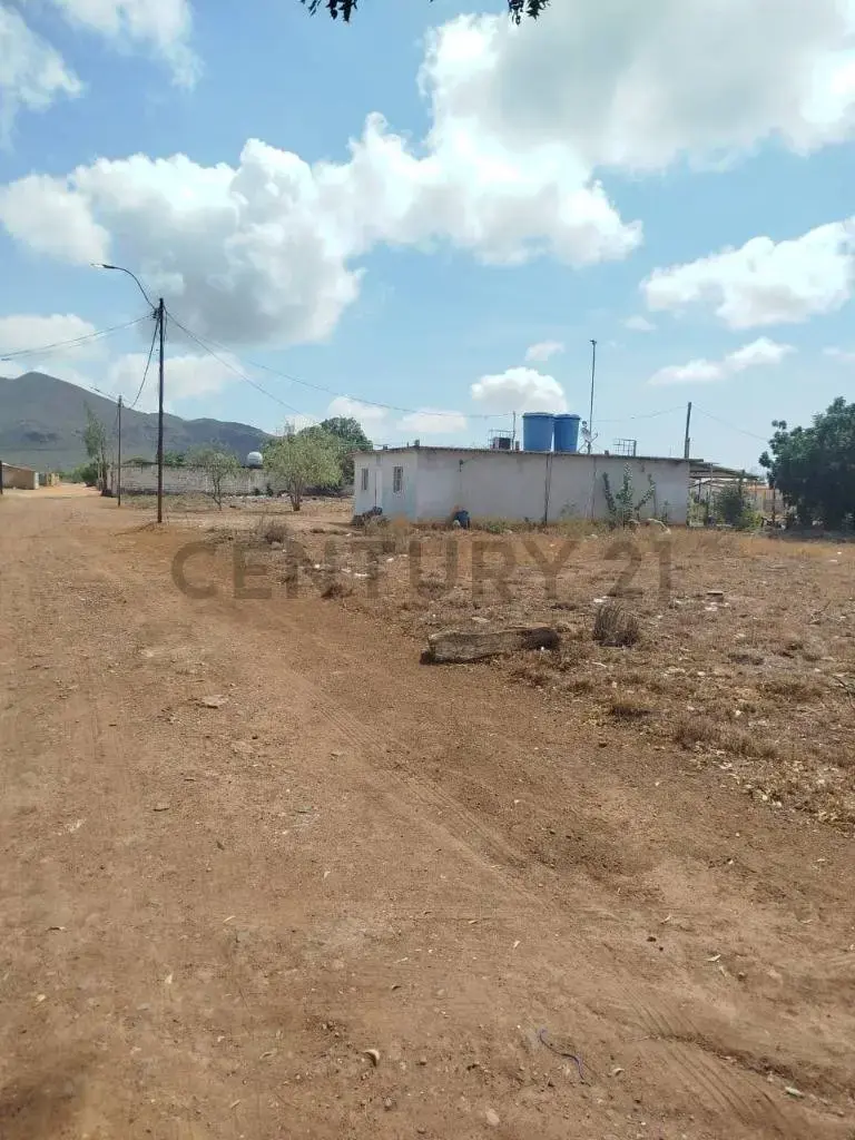 Terreno Ell Espinal , isla de Margarita - 5