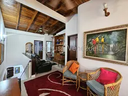 Vista 25