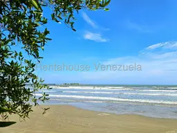 Vista 41