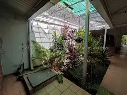 Vista 10