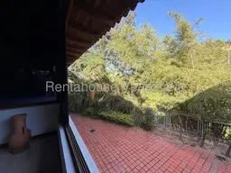 View 50