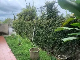View 22