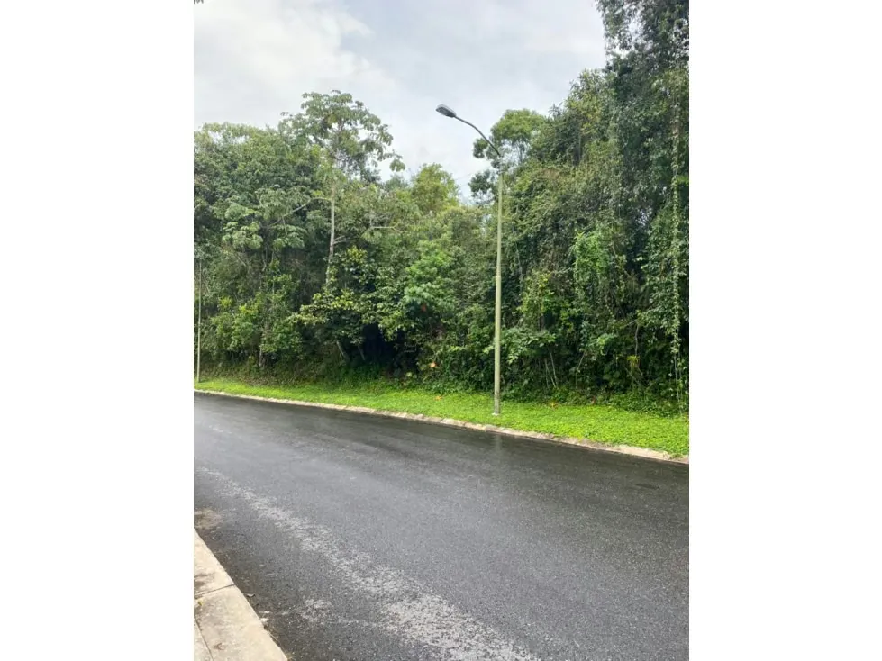 TERRENO - EL HATILLO - 2000 Mts2 - 4