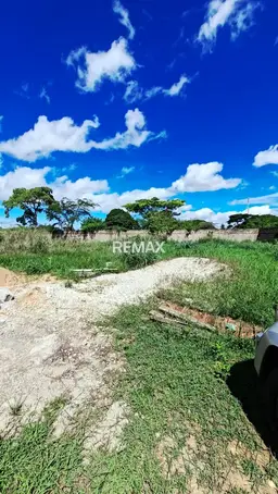 View 16