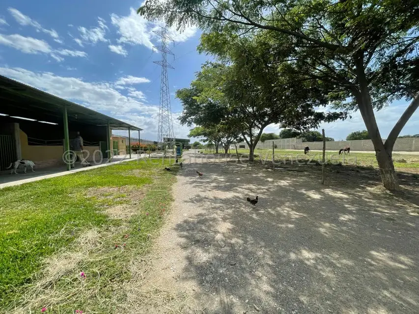 Terreno (Comercial) en Venta en Municipio Jimenez, Lara - 12