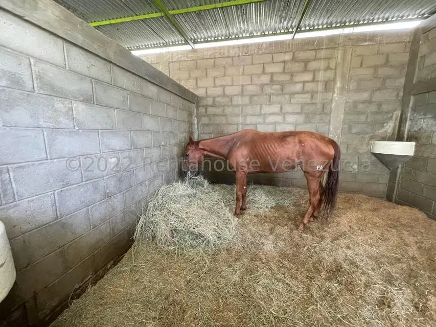 Terreno (Comercial) en Venta en Municipio Jimenez, Lara - 16