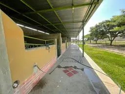 Vista 19