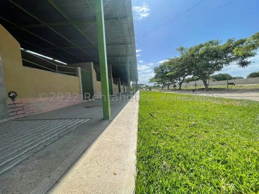 Terreno (Comercial) en Venta en Municipio Jimenez, Lara - 22