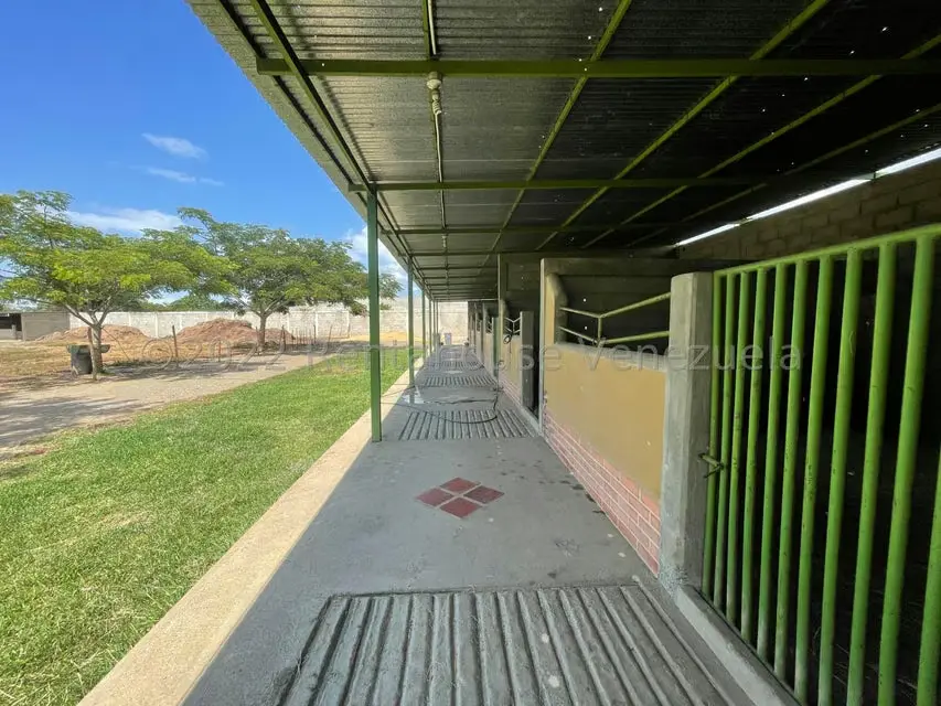 Terreno (Comercial) en Venta en Municipio Jimenez, Lara - 25