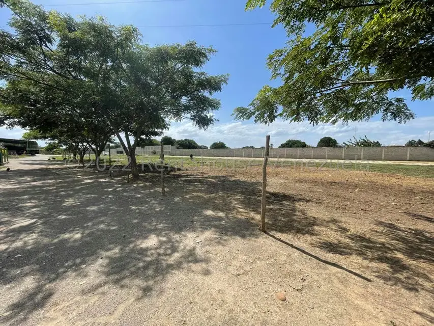 Terreno (Comercial) en Venta en Municipio Jimenez, Lara - 5
