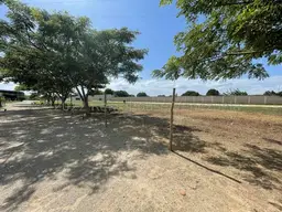 Vista 5