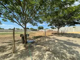 Vista 6