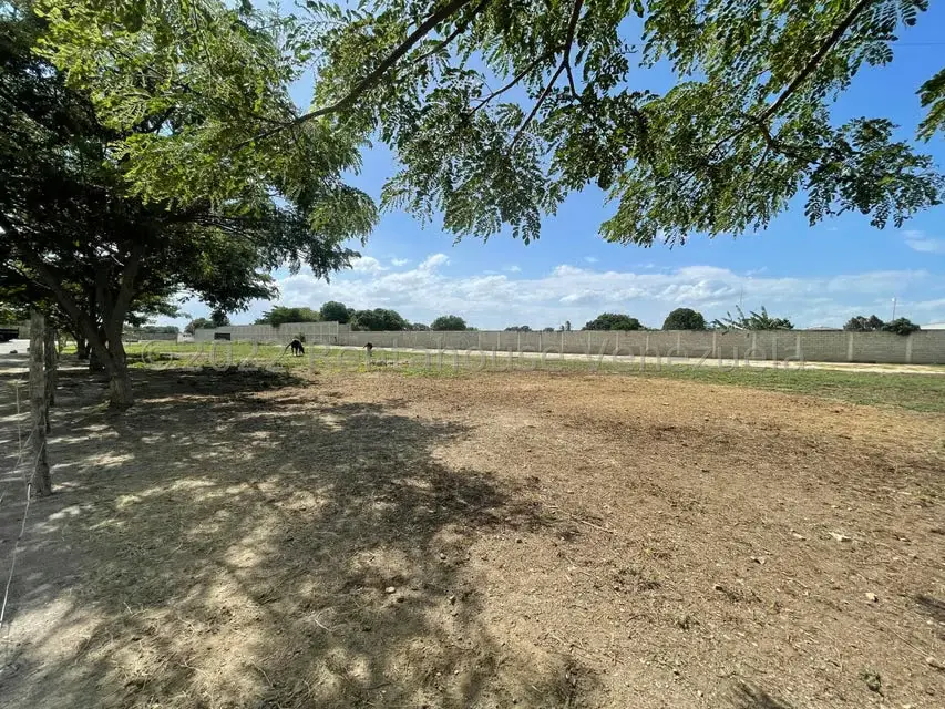 Terreno (Comercial) en Venta en Municipio Jimenez, Lara - 8