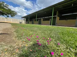 Vista 10