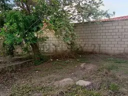 Vista 4