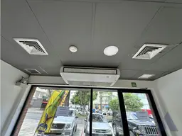Vista 11