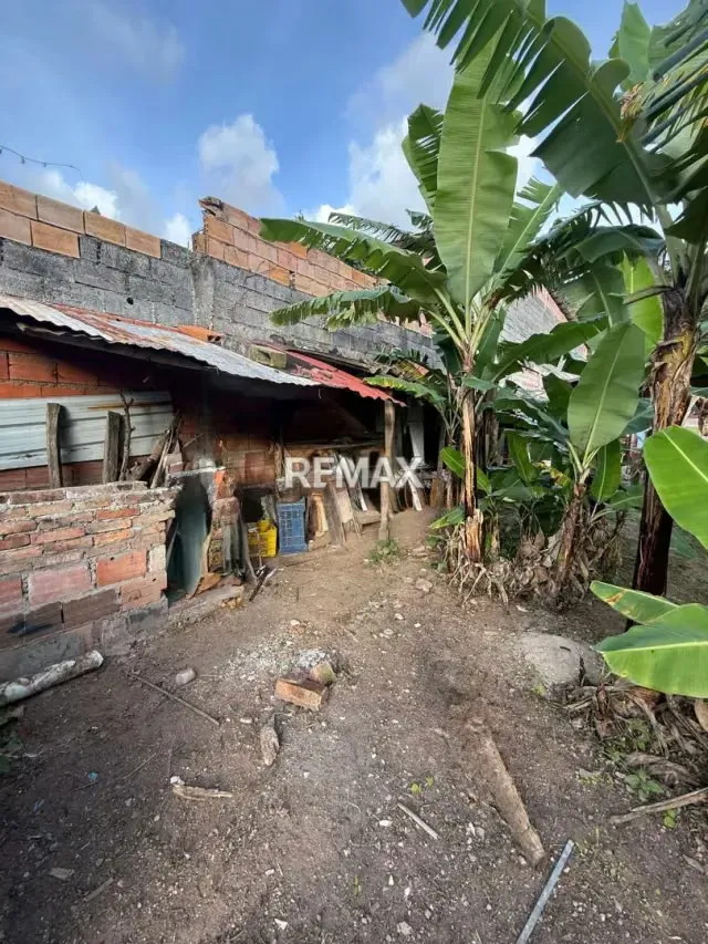 VENTA DE CASA EN EL SECTOR SALOMON DE CORDERO - 6