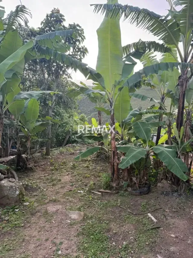 VENTA DE CASA EN EL SECTOR SALOMON DE CORDERO - 7