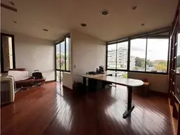 Vista 19