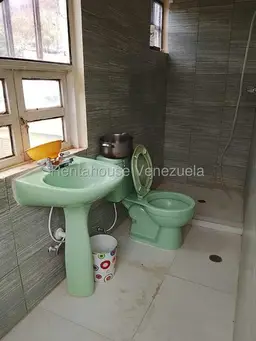 Vista 24