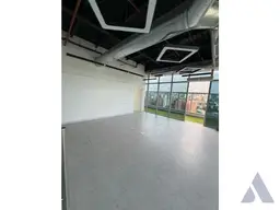 Vista 11