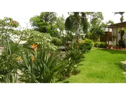 Vista 1