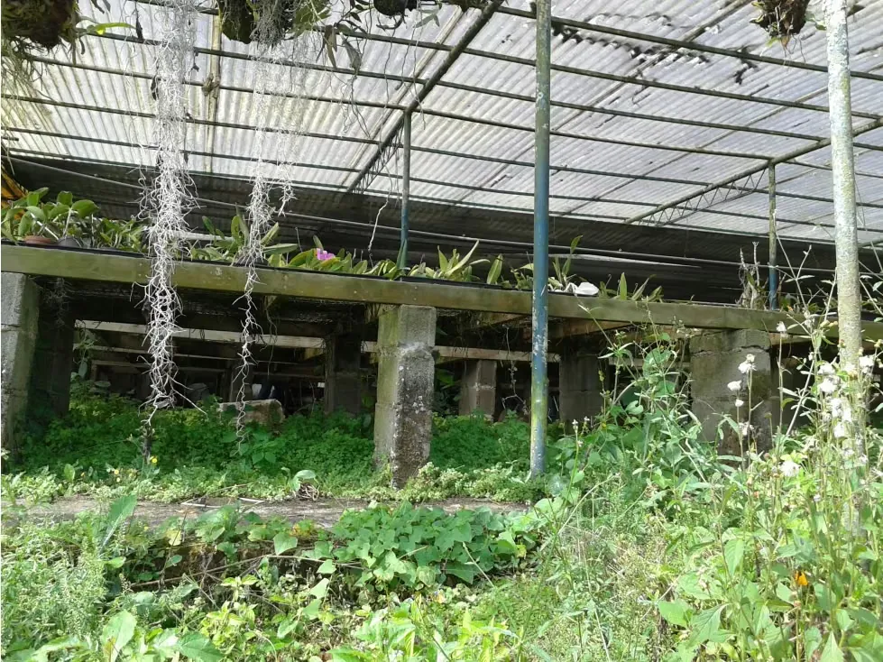Vendo terreno residencial 6.919m2 La Unión 4229 - 4