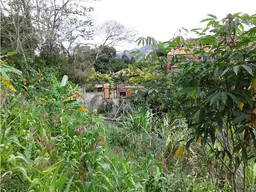 Vista 5
