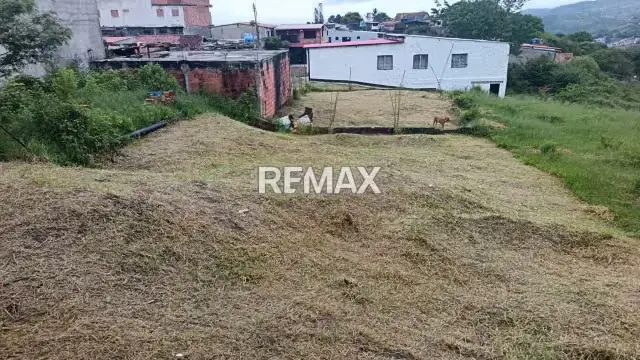 Venta de Terreno Ubicado en el Sector LOS OLIVOS, CANEYES