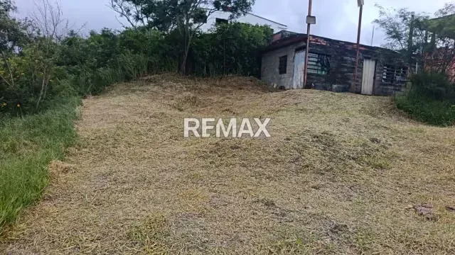 Venta de Terreno Ubicado en el Sector LOS OLIVOS, CANEYES - 5