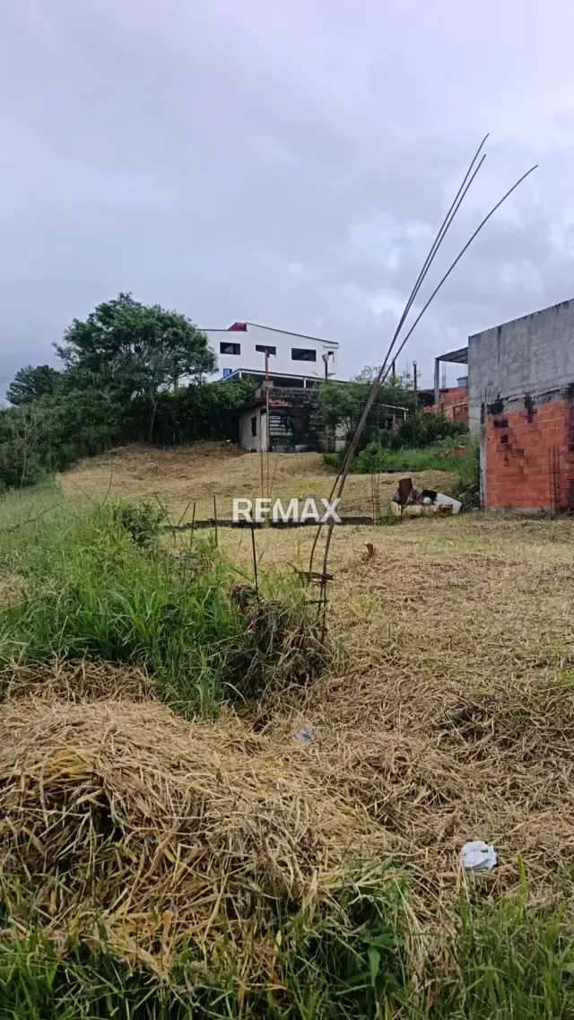 Venta de Terreno Ubicado en el Sector LOS OLIVOS, CANEYES - 7