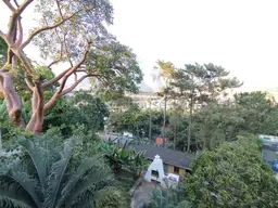 Vista 6