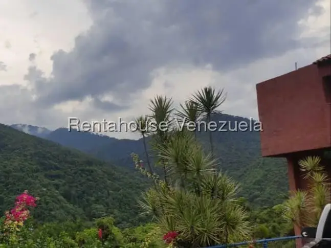 Apartamento (1 Nivel) en Venta en Carayaca, Vargas - 14
