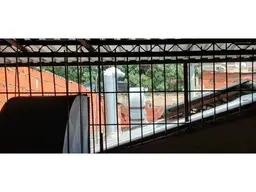 View 18