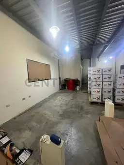 Vista 4