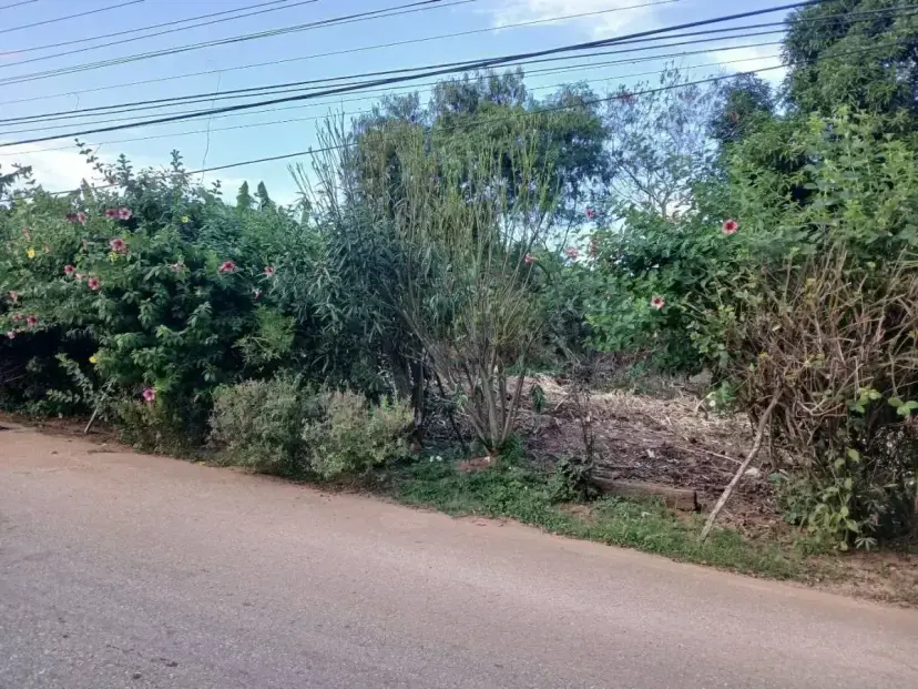 TERRENO LA GUARINA