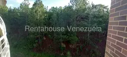 Vista 49
