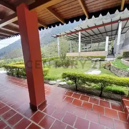 Vista 12