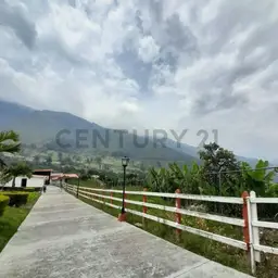 Vista 17