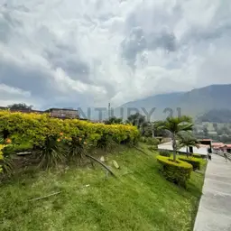 Vista 20