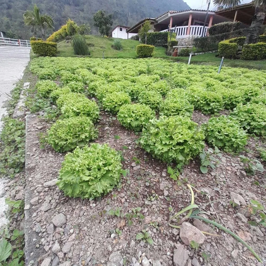 En venta casa de campo Venegara La Grita - 21
