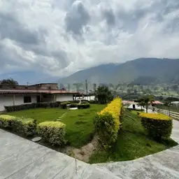 Vista 22