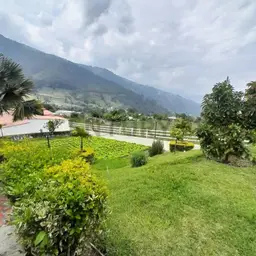 Vista 3