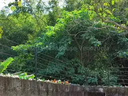 View 32