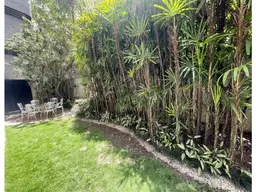 Vista 19