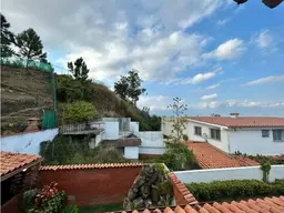 Vista 19