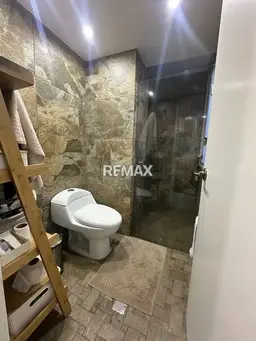 Vista 11