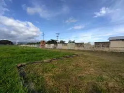 Vista 133
