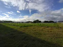 Vista 134